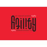 Agility Computer Network Services, Inc