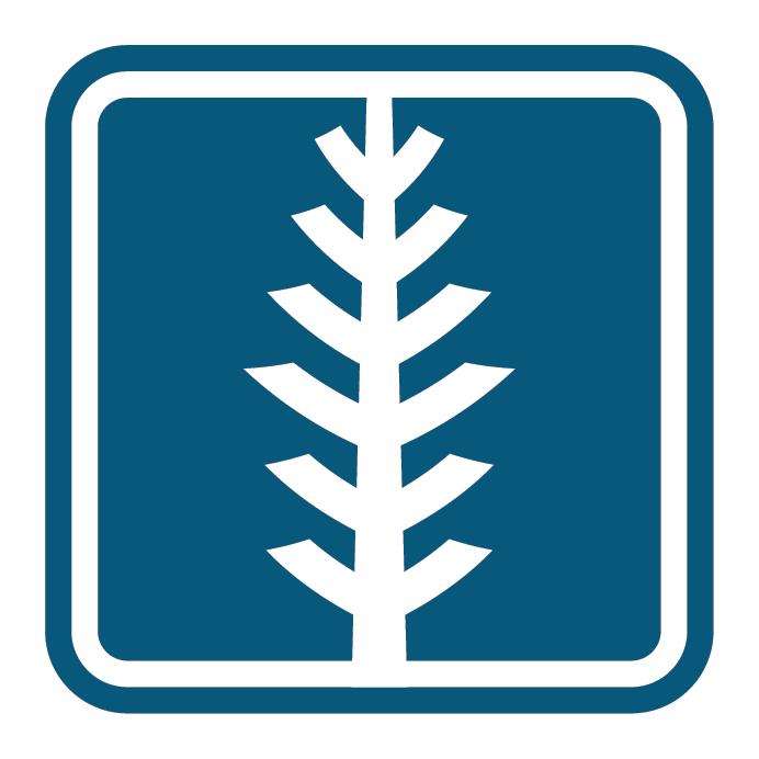 Spine and Wellness Cincinnati