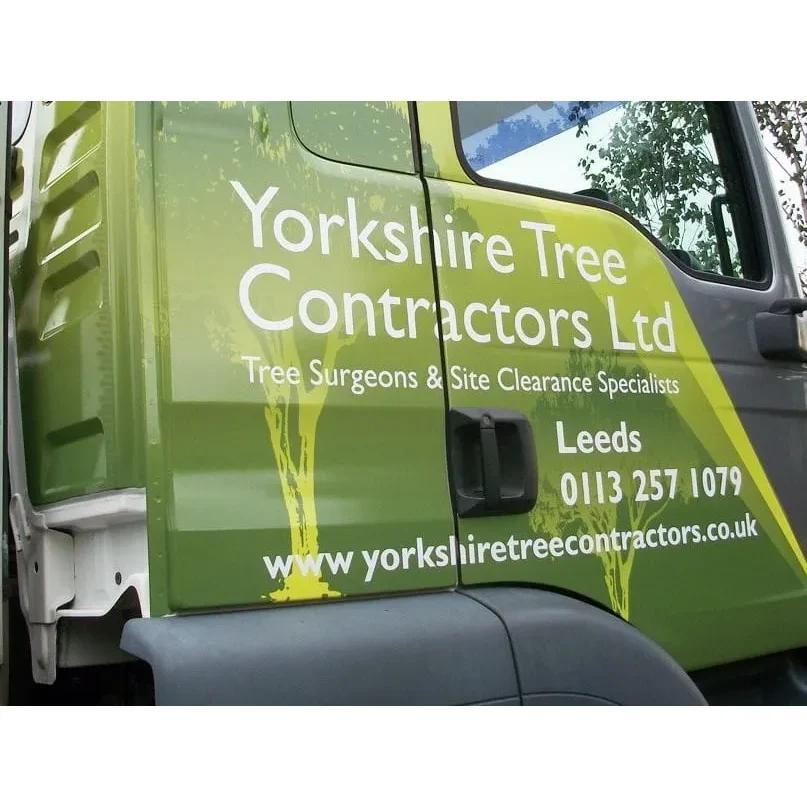 Yorkshire Tree Contractors