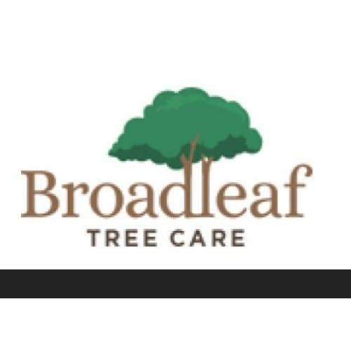 Broadleaf Tree Care