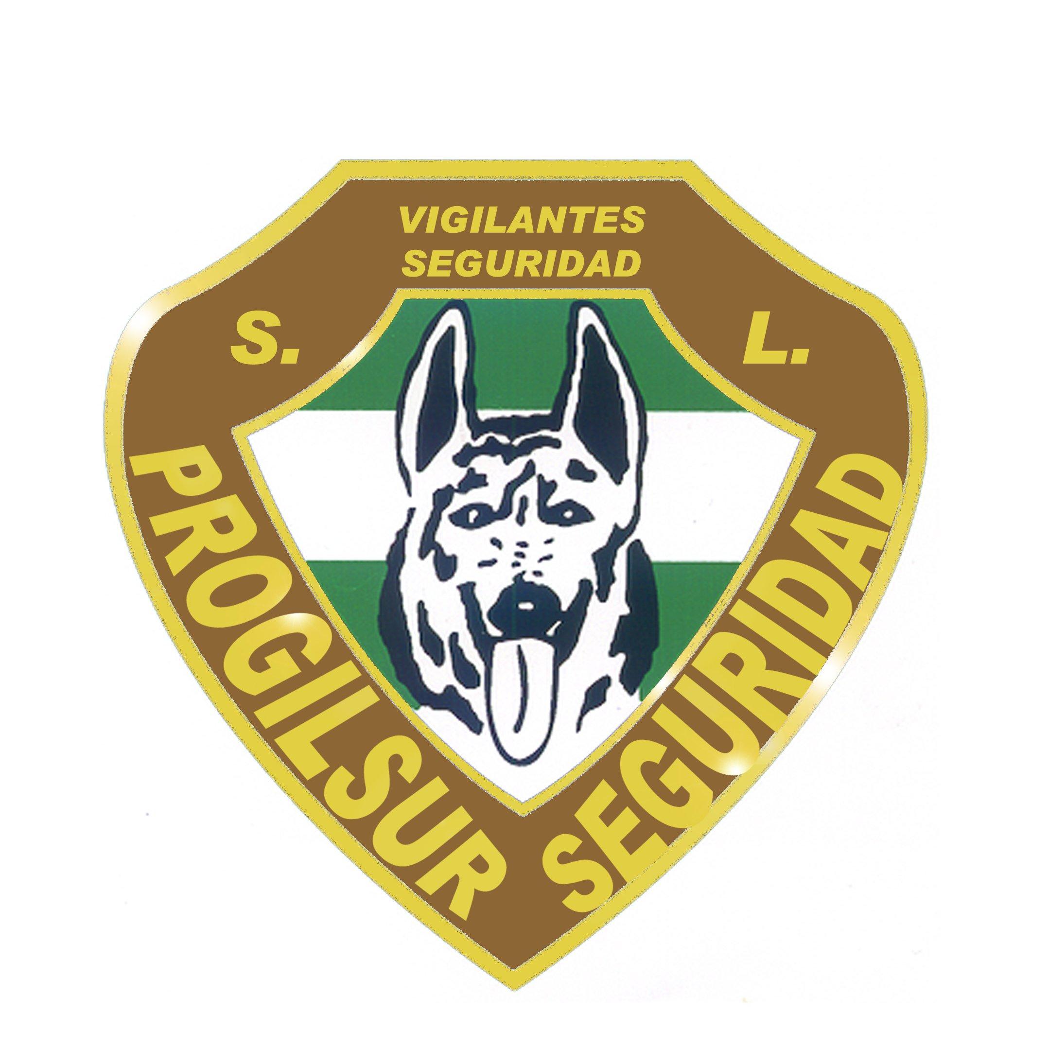 Progilsur Seguridad S.L.