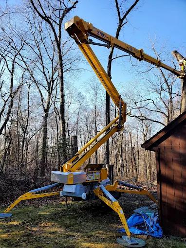 Barkbuster Tree Service