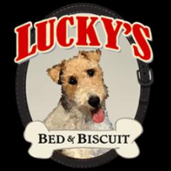 Lucky's Bed & Biscuit