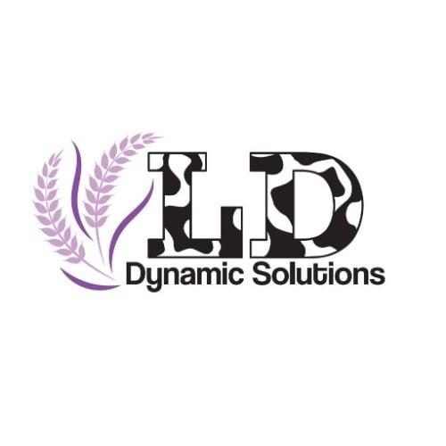 LD Dynamic Solutions