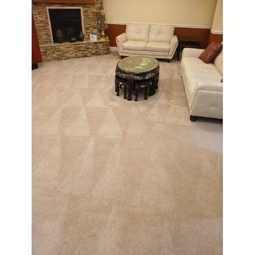 TNT Carpet Cleaning Plus LLC