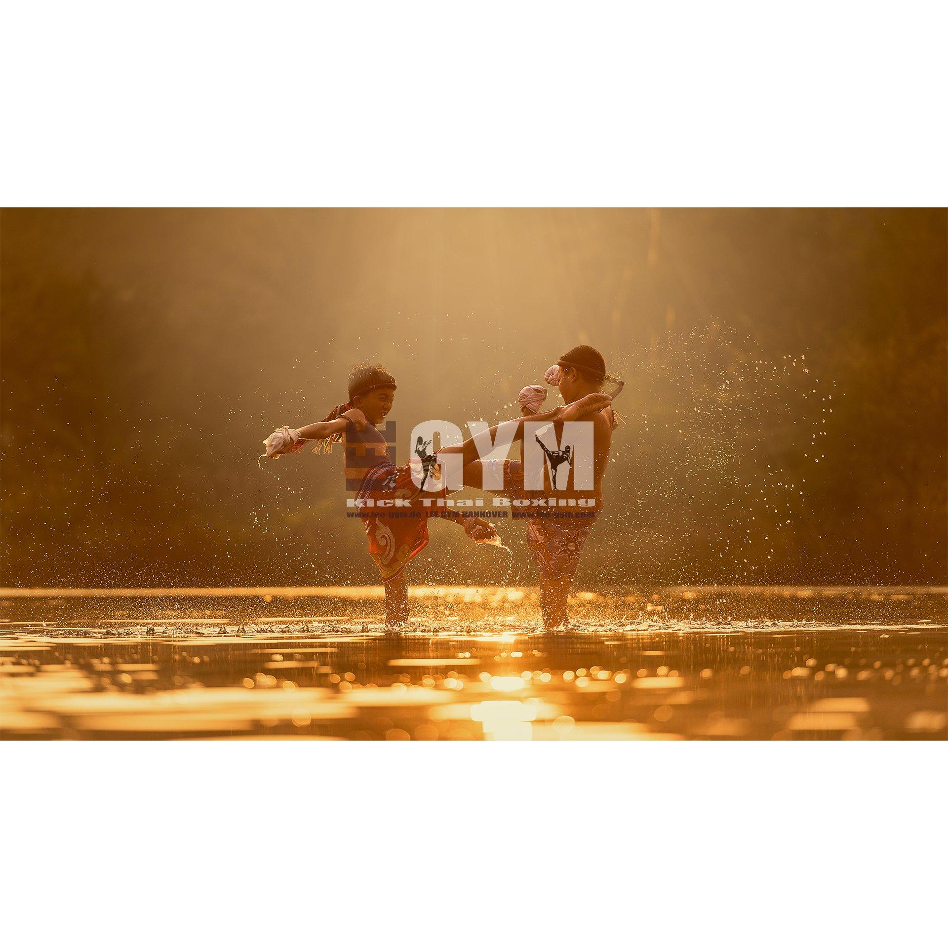 Lee Gym Kampfsport und Functional Training