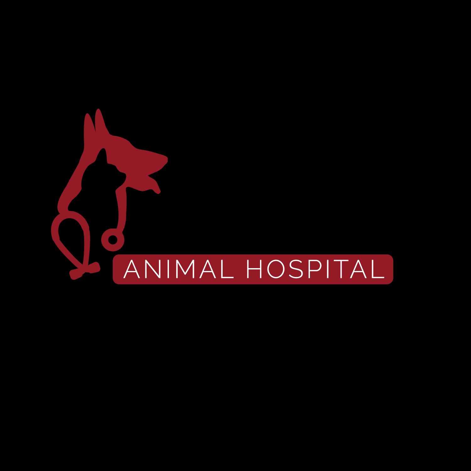 Island City Animal Hospital