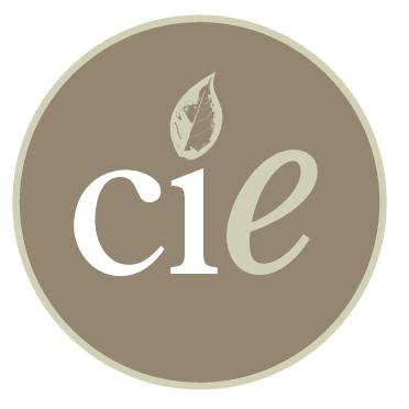 Center for Interpersonal Effectiveness