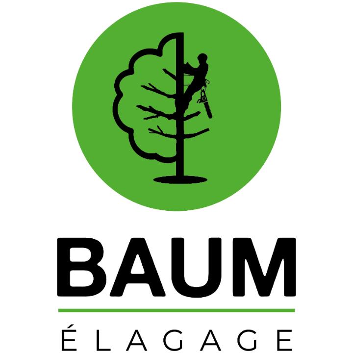 Baum élagage
