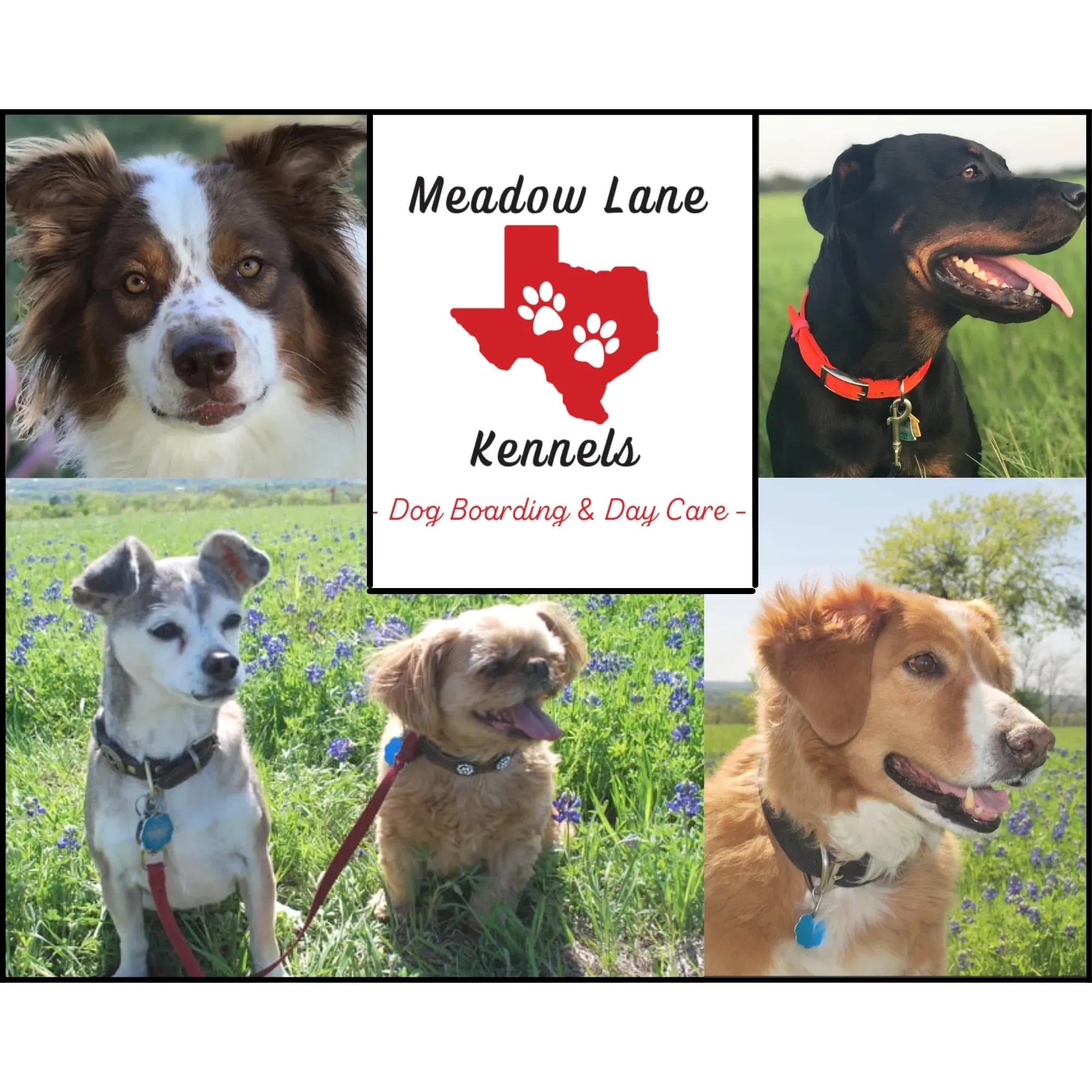 Meadow Lane Kennels