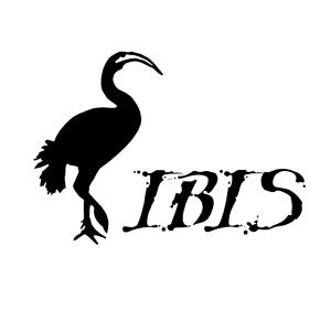 IBIS Interkulturelle Arbeitsstelle e.V.