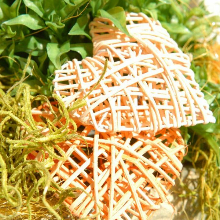 Ambulante Hauskrankenpflege Gudrun Hunger GmbH