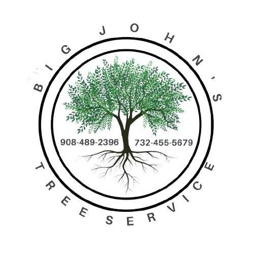 Big John's Tree Service