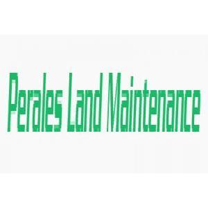 Perales Land Maintenance