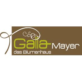 Galla-Mayer Blumenhaus