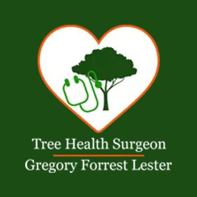 Tree Health Surgeon - Gregory Forrest Lester