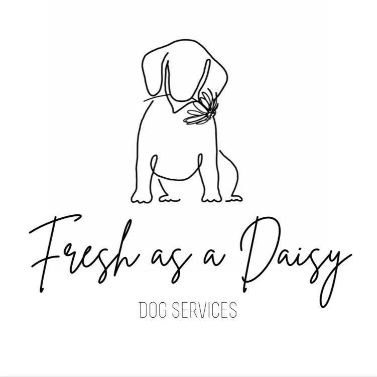Fresh as a Daisy Dog Services
