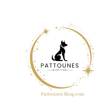 pattounesblog.com