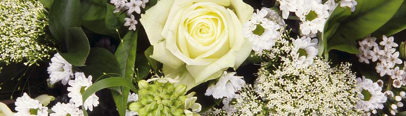 Beest Bloemen- en Plantencentrum Van