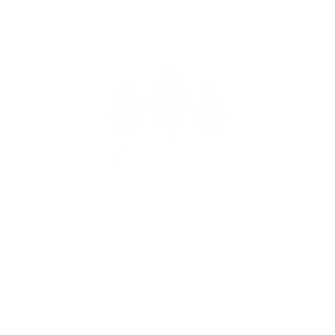 Lakeside at Arbor Place