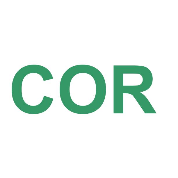 COR Construcciones Obras Y Rehabilitaciones S L