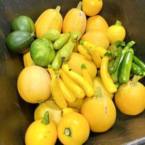 Windhorst Obst & Gemüsehandel