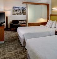 SpringHill Suites by Marriott Saginaw