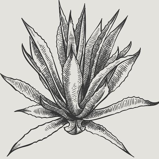 Botanika SLC – Non-Alcoholic Bottle Shop & Gourmet Market