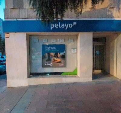 Oficina Seguros Pelayo