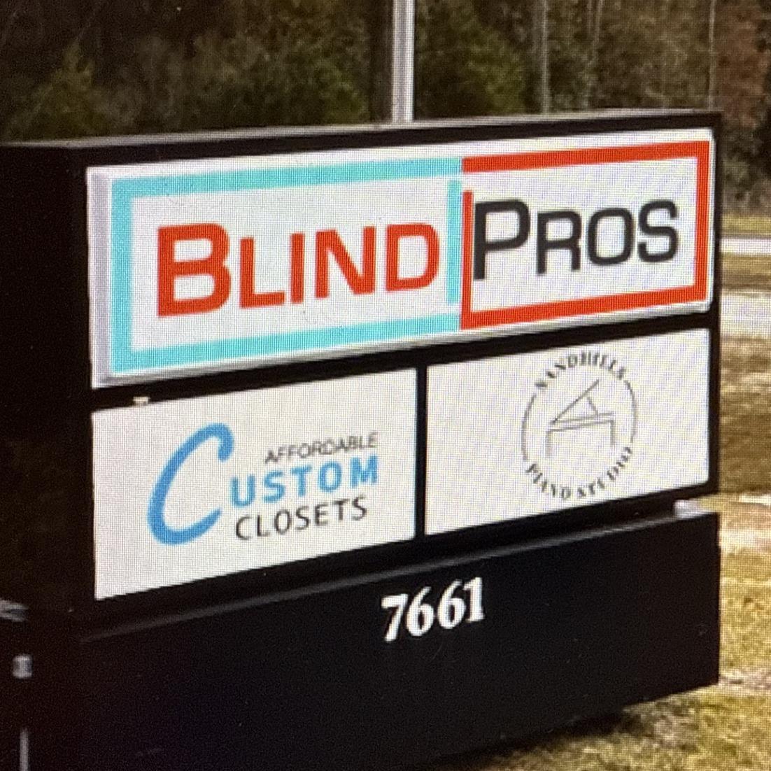 BLINDPROS