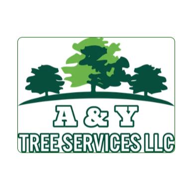 A & Y Tree Service