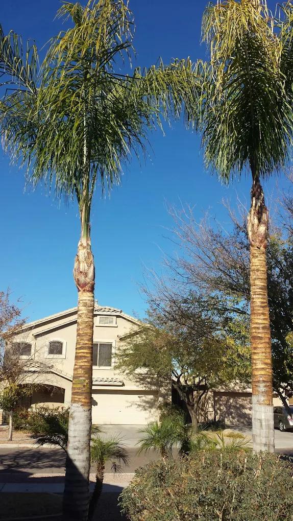 T & M Go Blue Services