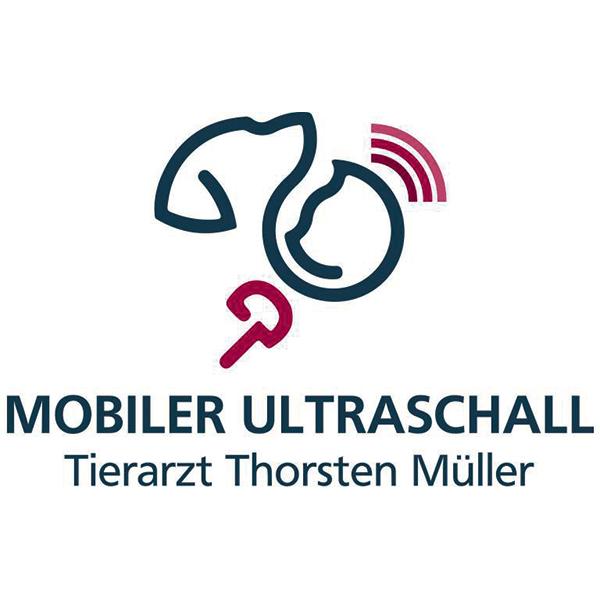 Mobiler Ultraschall