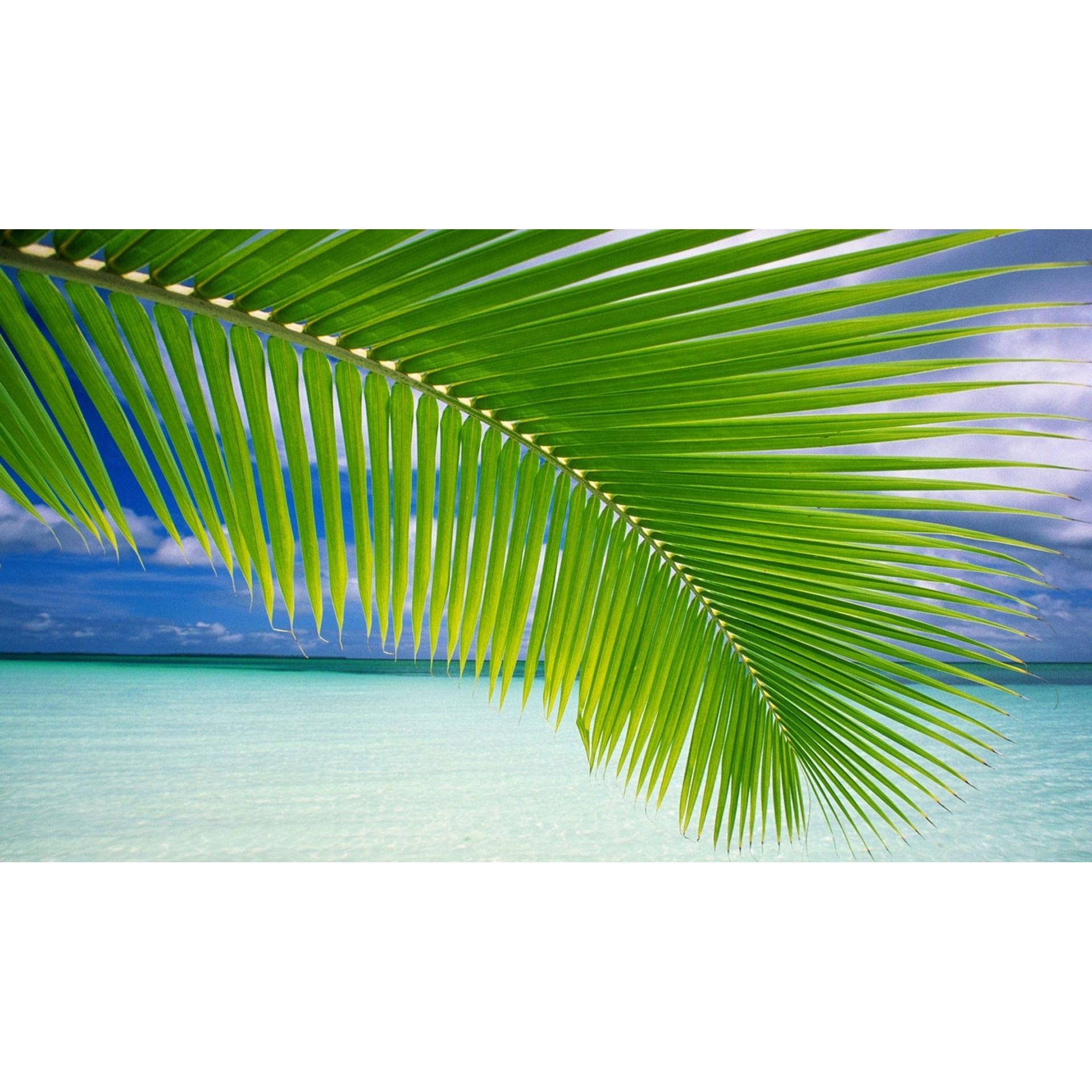 Sacred Journeys Within