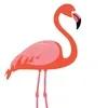 Flamingo Rides LLC