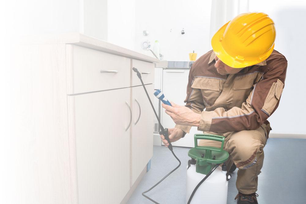 Double Trouble Praytor Pest Control