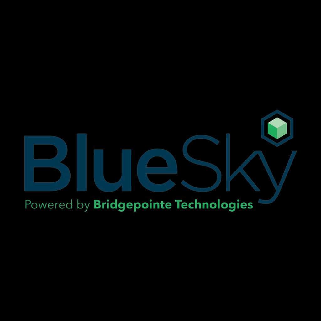 BlueSky IT Partners