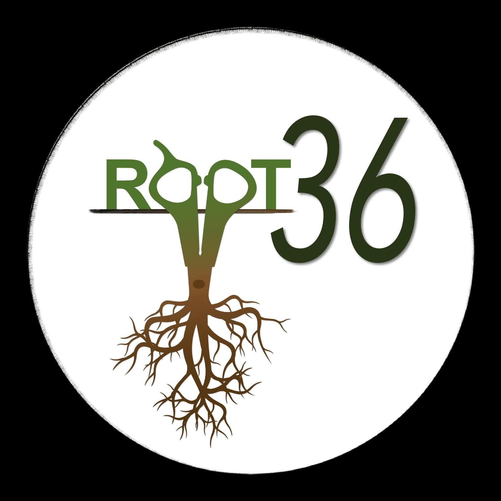Root36 Salon