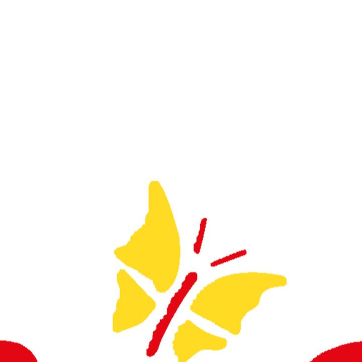 Schmetterling Parkett