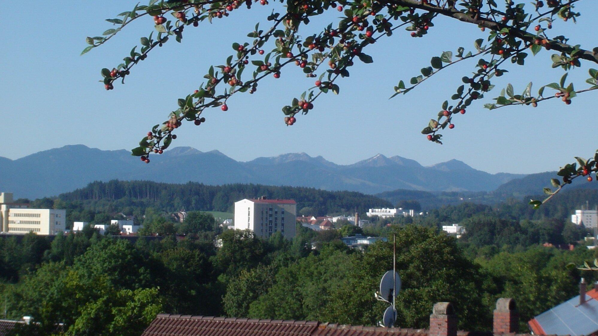 Ferienwohnung dress-home