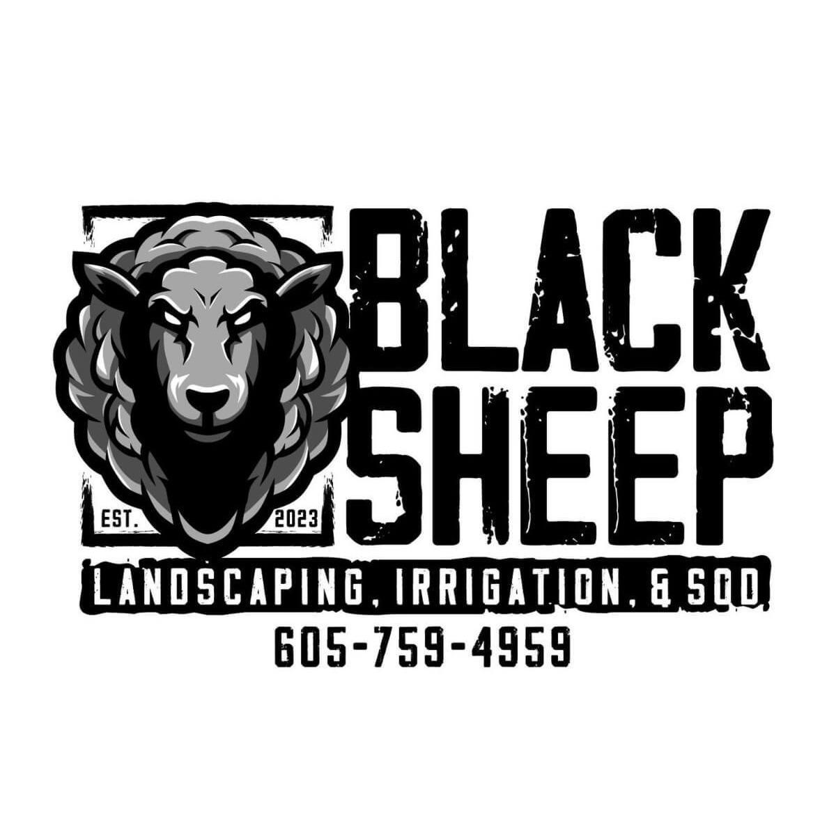 Black Sheep Landscape