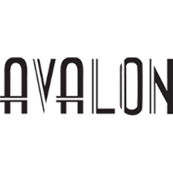 Avalon Hotel Miami