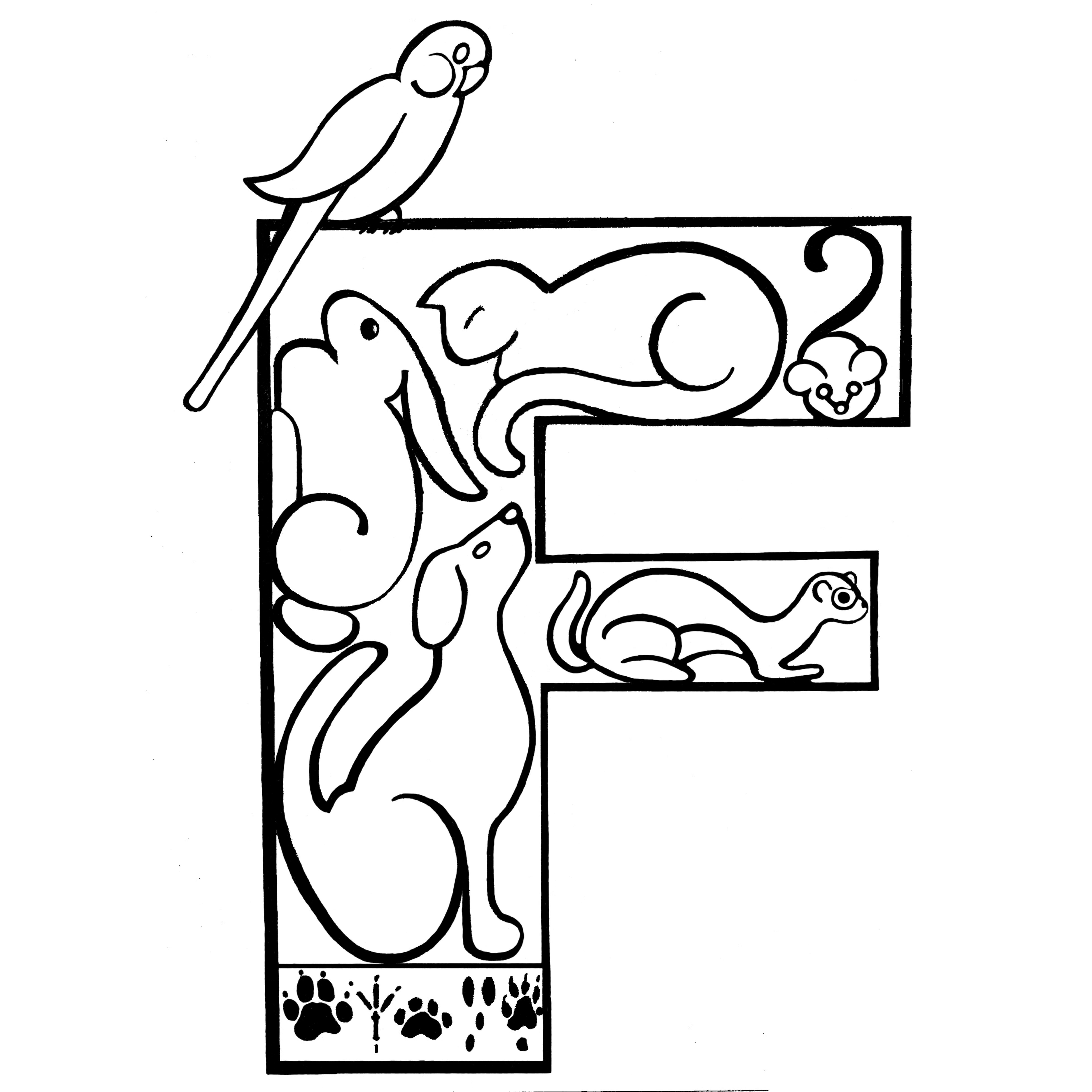 Fur and Feathers Veterinary Care
