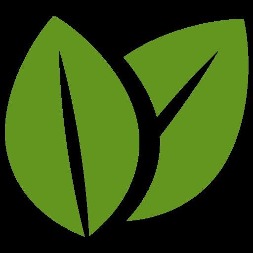 SEO Agentur Hamburg: Premium SEO Betreuung