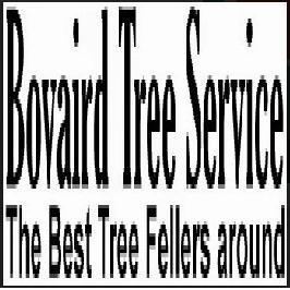 Bovaird Tree & Snow Removal