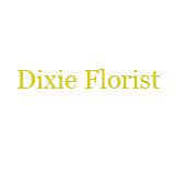 Dixie Florist