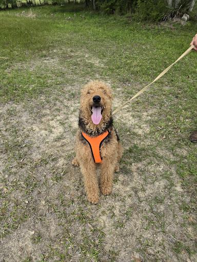 Serenity Pet Sitting & Boarding