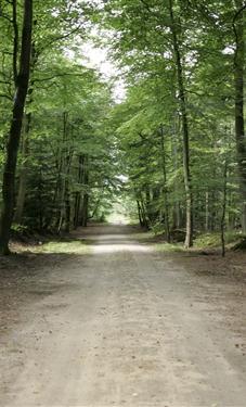 Notariaat Ridderhof en Stelwagen