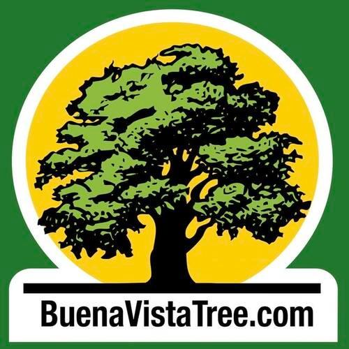 Buena Vista Tree Service