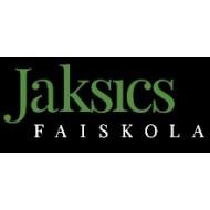 Jaksics Faiskola